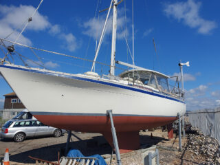 20230815_103525-b3cf35741aa6a0810d6f1ead15d40546