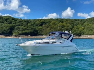 FB_IMG_1645644146489-227145b791f94435d0d2d1cfd1525079